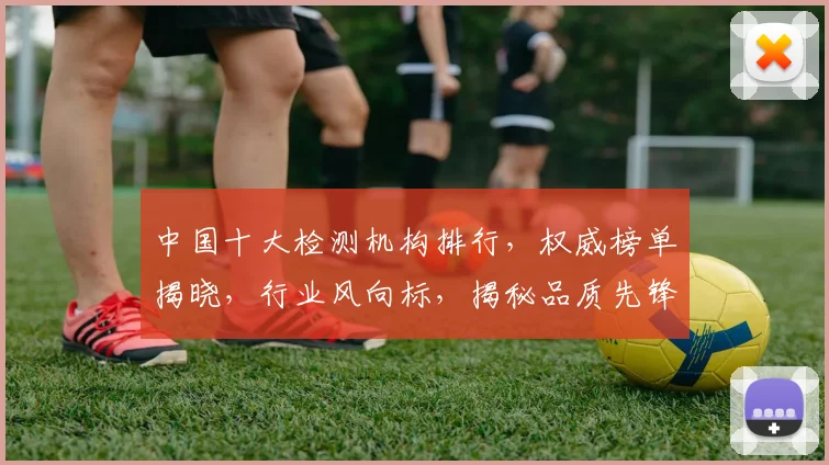 中国十大检测机构排行，权威榜单揭晓，行业风向标，揭秘品质先锋