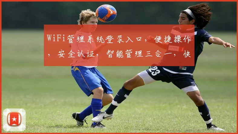 WiFi管理系统登录入口，便捷操作，安全认证，智能管理三合一，快速登录体验